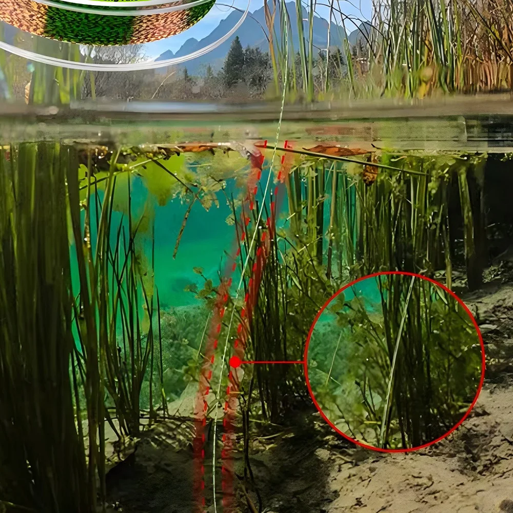 Thornsline Línea Fluorocarbono – Invisible, rápido hundimiento carpa - imagen 5