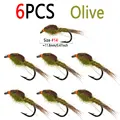 6pcs Olive