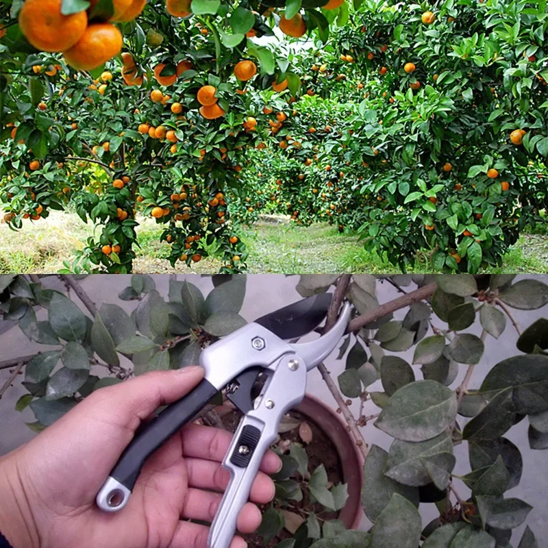 Herramientas de podar para jardín, podadoras de bonsái de acero al carbono, tijeras para ramas de frutas que ahorran trabajo, podadoras fáciles para el hogar - imagen 2