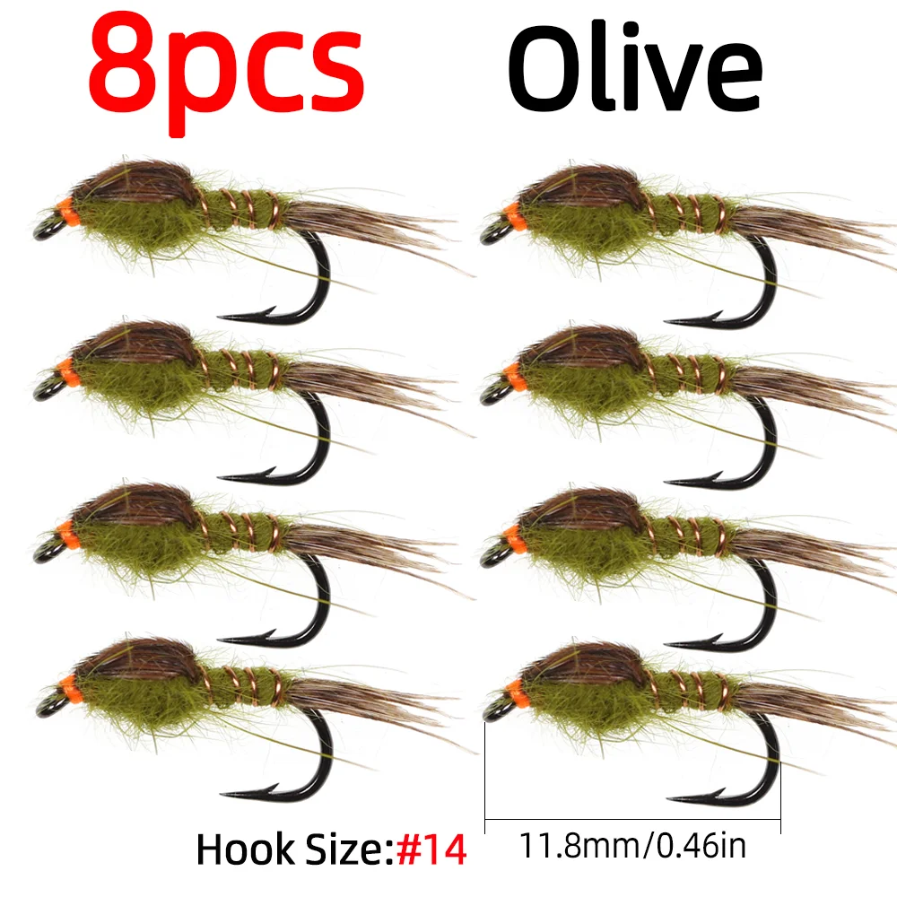 8pcs Olive