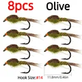 8pcs Olive