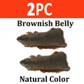 2pc Brownish Belly