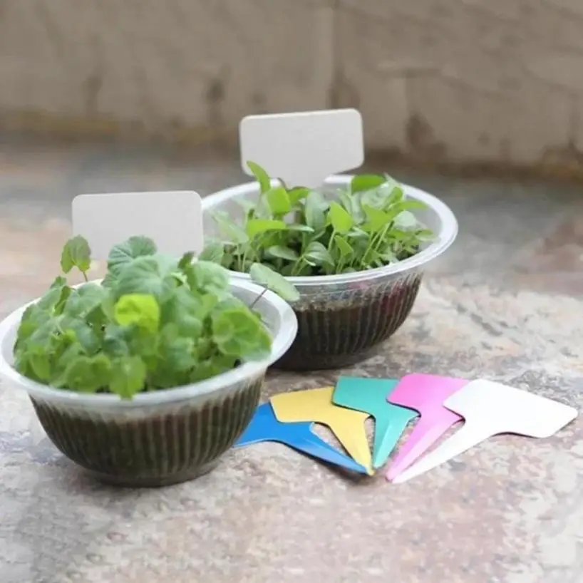 Etiquetas plantas forma T – Plástico impermeable para suculentas