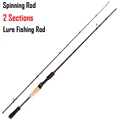 Spinning Rod
