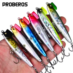 Señuelo lápiz hundimiento lento para lubina – Cebo duro ruidoso
