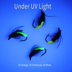 WIFREO Cuentas UV Color - Cadena para Scud, Ninfa, Insectos, Gusanos