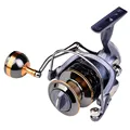 Spinning Reel