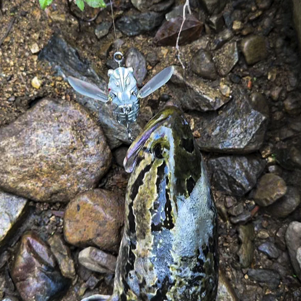 Señuelos de pesca de cigarra de simulación Kingdom, 40mm, 55mm, cebo duro Topwater, flotador de agua salada, columpio de insectos biónico, Wobblers duros