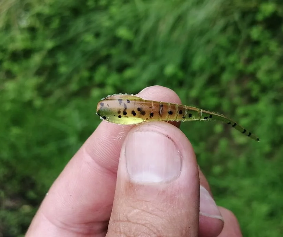 ESFISHING-cebo de gusano de plástico blando, Troutino, 20 piezas, 52mm, barato, Leurre Souple, Pesca, hielo de invierno, Mini aparejos de Pesca - imagen 2