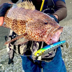 Sinkender Angelköder, 100 mm, 30 g, langer Wurf, Bleistiftköder, Salzwasser, harte Köder für Forellen, Zufluss, Angelgerät