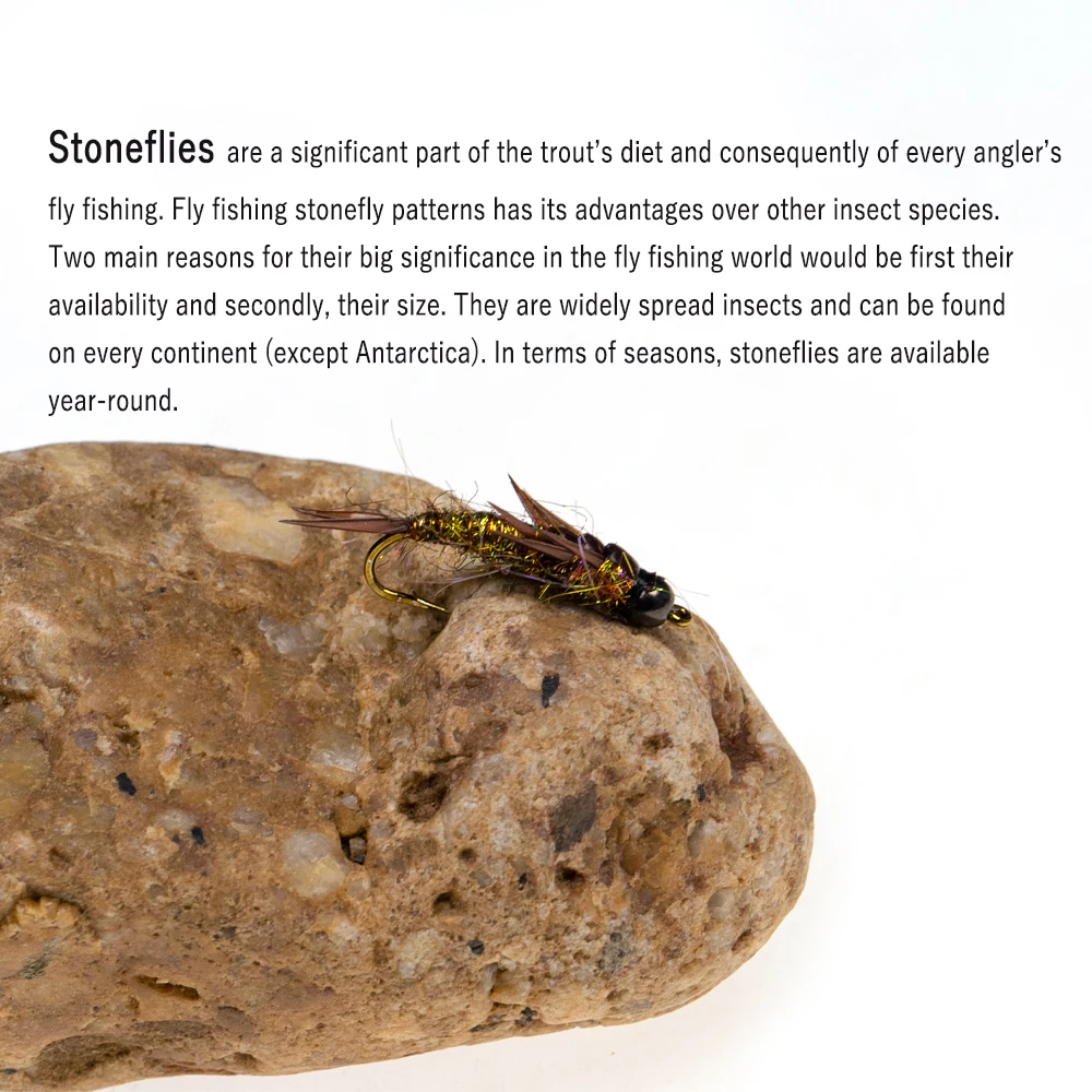 Wifreo-SEÑUELOS DE pesca con mosca, 6 piezas, ninfa, cabeza de cuentas de latón, piedras para trucha, trucha, señuelo de insectos realista - imagen 5