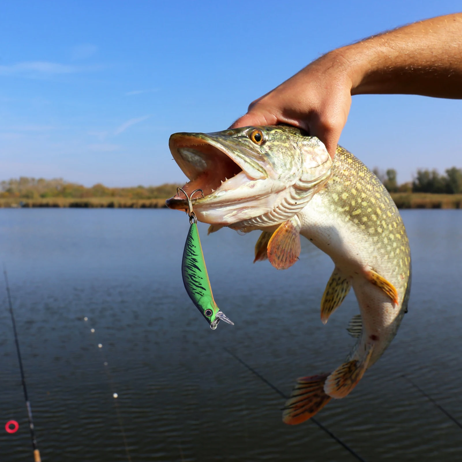 ¡Experimenta la emoción de la pesca con esta impresionante captura!