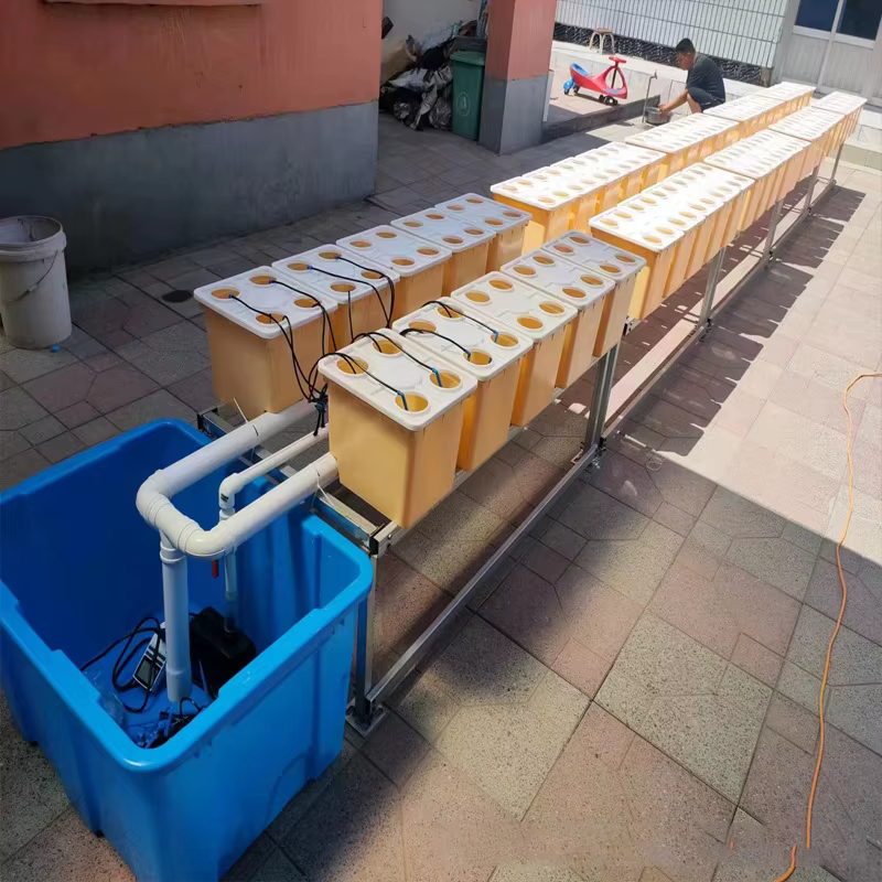 Barriles holandeses PP para hidroponía – Sistema de cultivo sin suelo para invernadero - imagen 5
