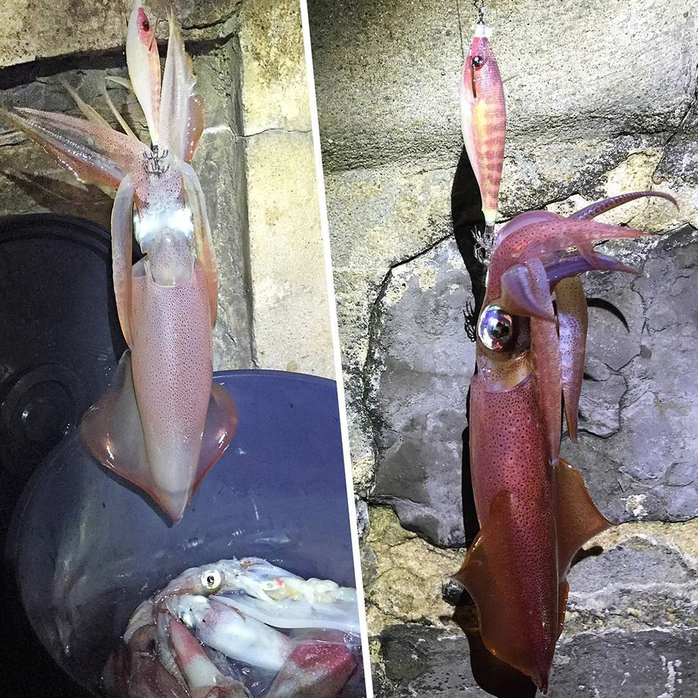 Anzuelo luminoso de calamar, anzuelo de pulpo, camarón, cebo para sepia, mar, agua salada, Jigging, señuelo de pesca, 8,3g, 9,1 cm - imagen 2