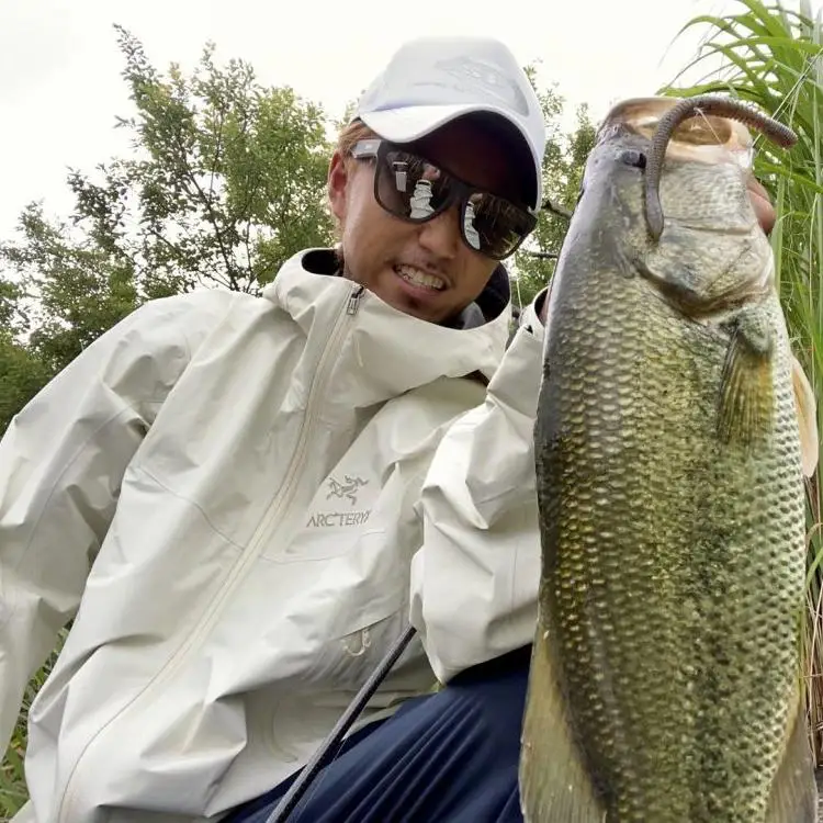 OSP Japón importado DOLIVE CRWLER alta gravedad específica cola oscilante fideos insecto negro Pit pesca salvaje lubina señuelo cebo suave - imagen 3