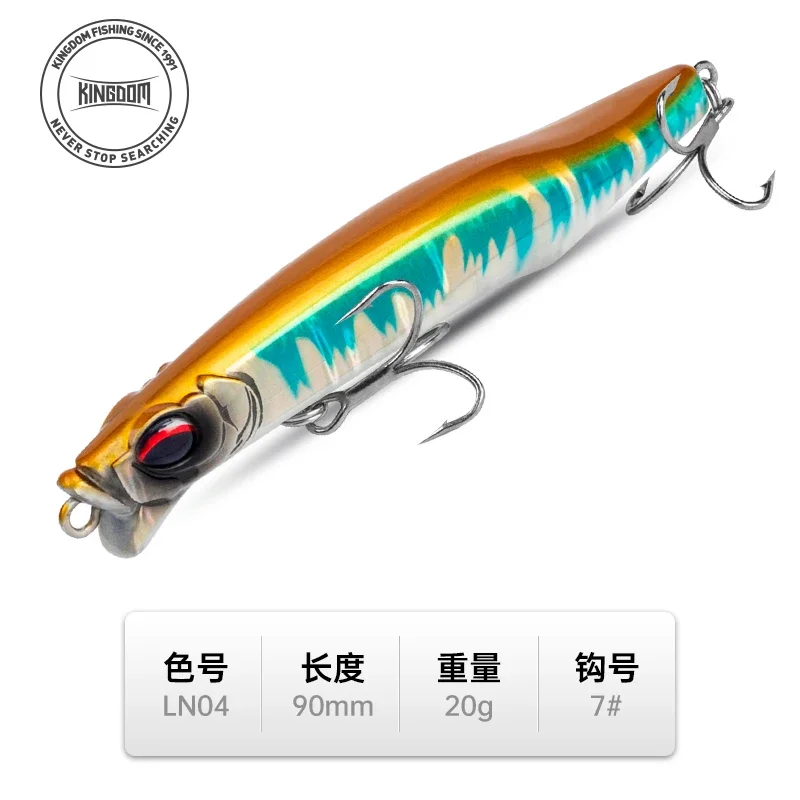 20G-9CM-LN04