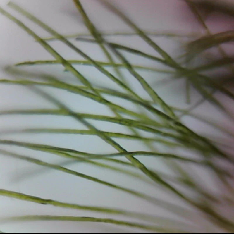 ASSO-sedal de pesca trenzado multifilamento verde súper fuerte, 300M, 8 hebras, multifilamento de mar, gran línea de juego para pesca en agua salada - imagen 5