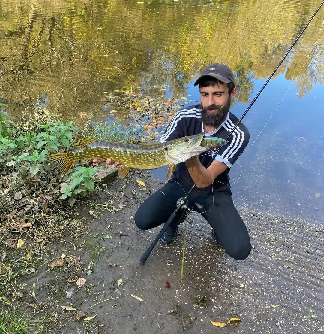 TSUYOKI-cebo articulado de 170/200mm, Señuelos de pesca flotantes/hundimiento, Madness Balam 200 Swimbait Wobbler, señuelo Muskie de Lucio grande de agua dulce - imagen 5
