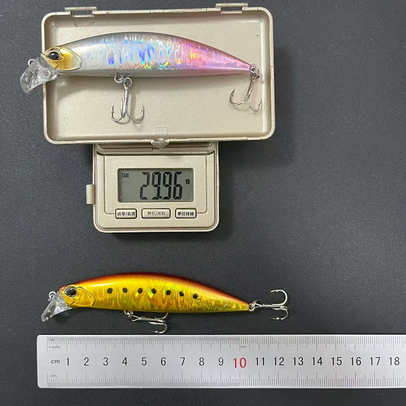 Beach Walker Minnow Hundible Señuelo para Lubina Agua Salada - imagen 5
