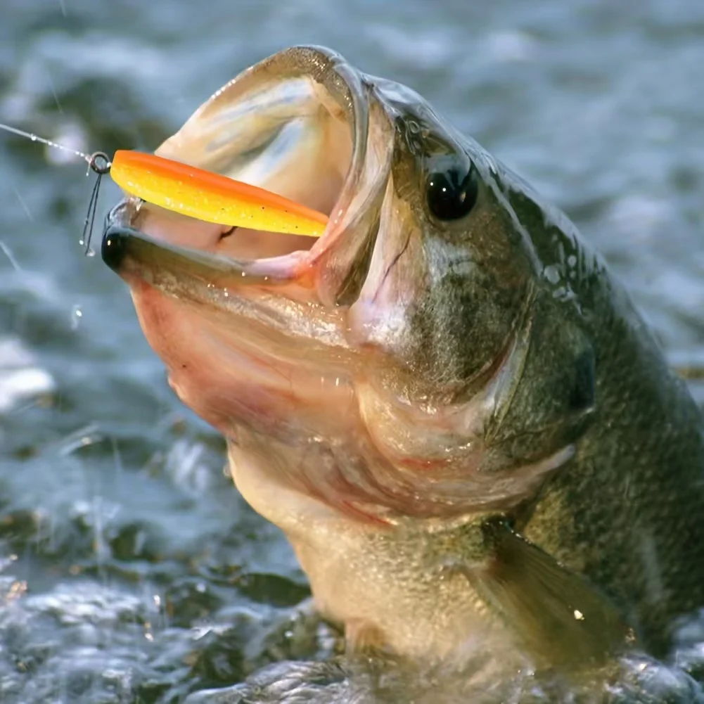 50pcs/box Fishing Lure T Tail Spinner Soft Artificial Bait Paddle Tail Soft Worm Carp Bass Freshwater Fishing Tackle Accessories - imagen 4