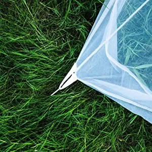 Un paraguas blanco está en un campo de hierba