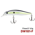 DW101-77SP-F