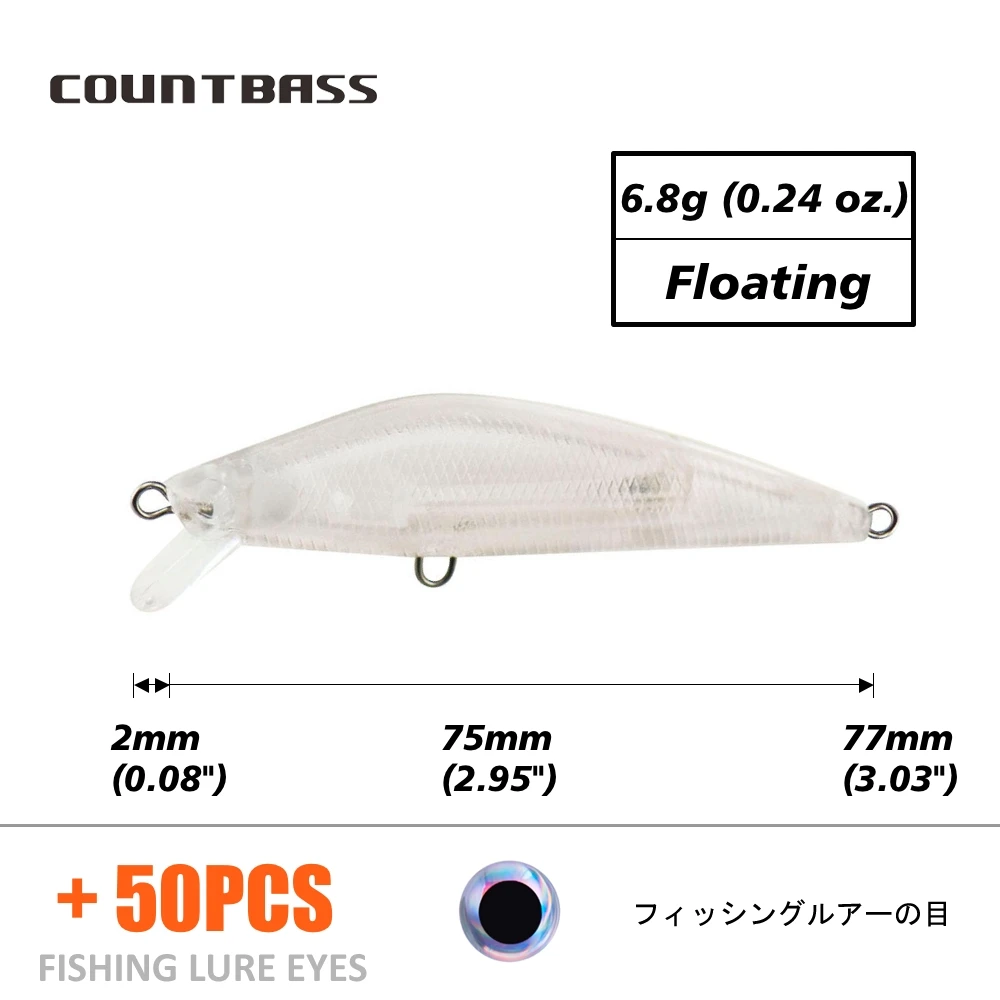 Blank Lure With Eyes