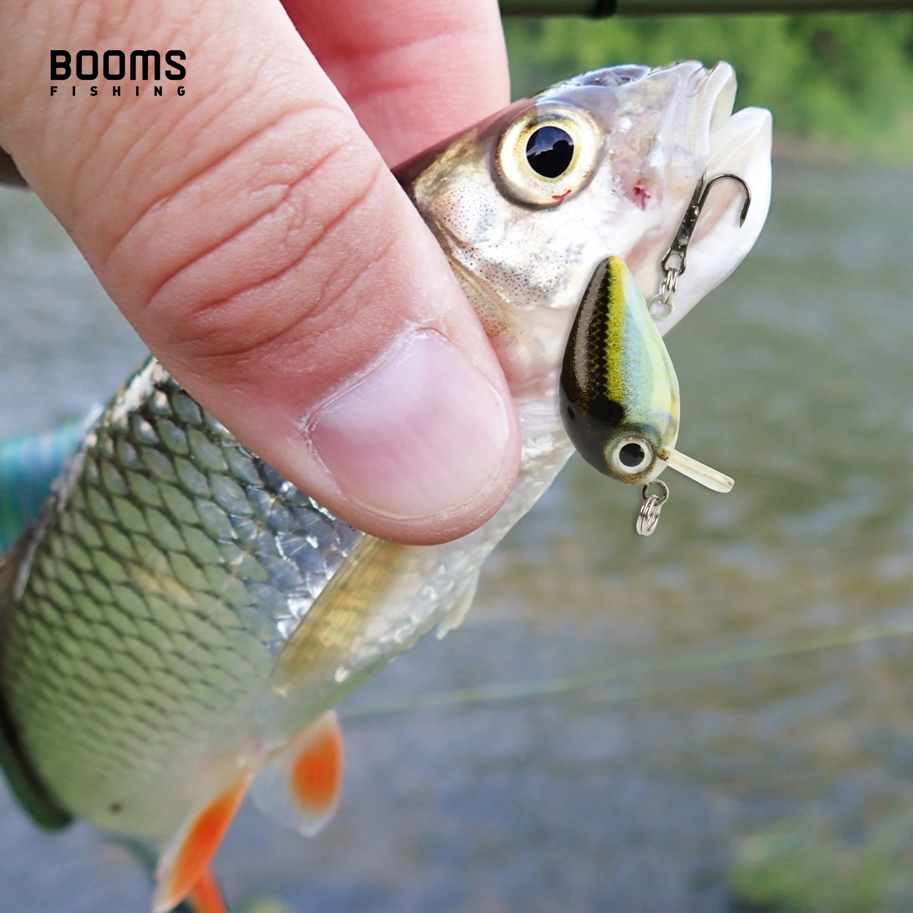 Booms Fishing CB2 5 uds Mini pequeños señuelos de pesca gordos Crankbait cebo de pez falso Artificial 29mm Wobblers duros calientes aparejos de señuelo - imagen 5
