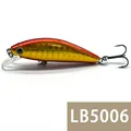 LB5006