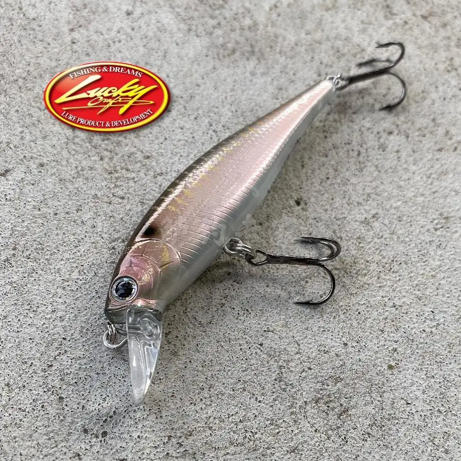 Isca dura importada de EE. UU. Lucky Craft Pointer 65 Mino Omori Guiyang campeón - imagen 5