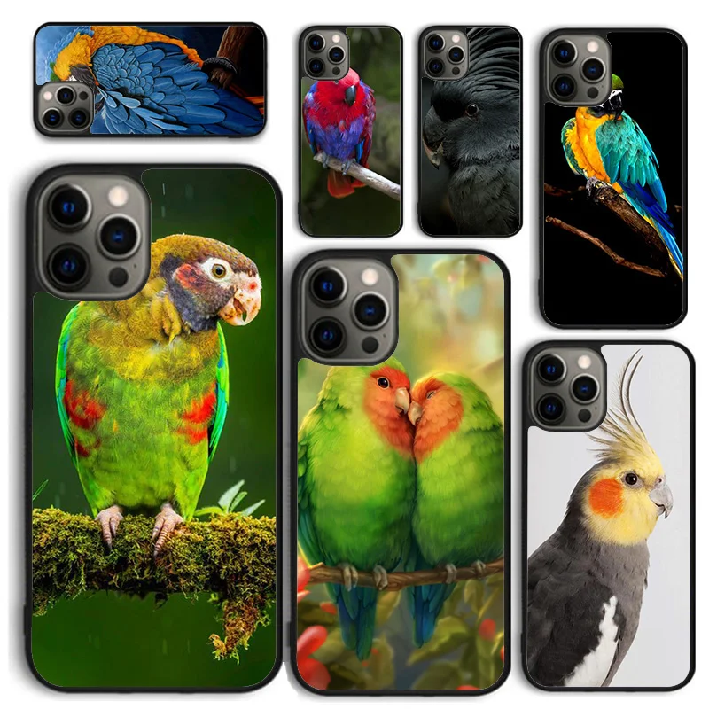 Funda de móvil loro y guacamayo – Diseño colorido para iPhone