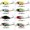 Random Color 5 PCS