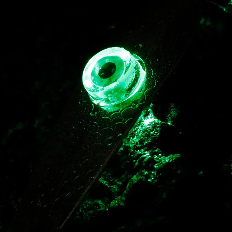 Señuelos de cebo de calamar, lámpara subacuática para pesca - imagen 5