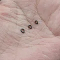 3.4-4.4mm