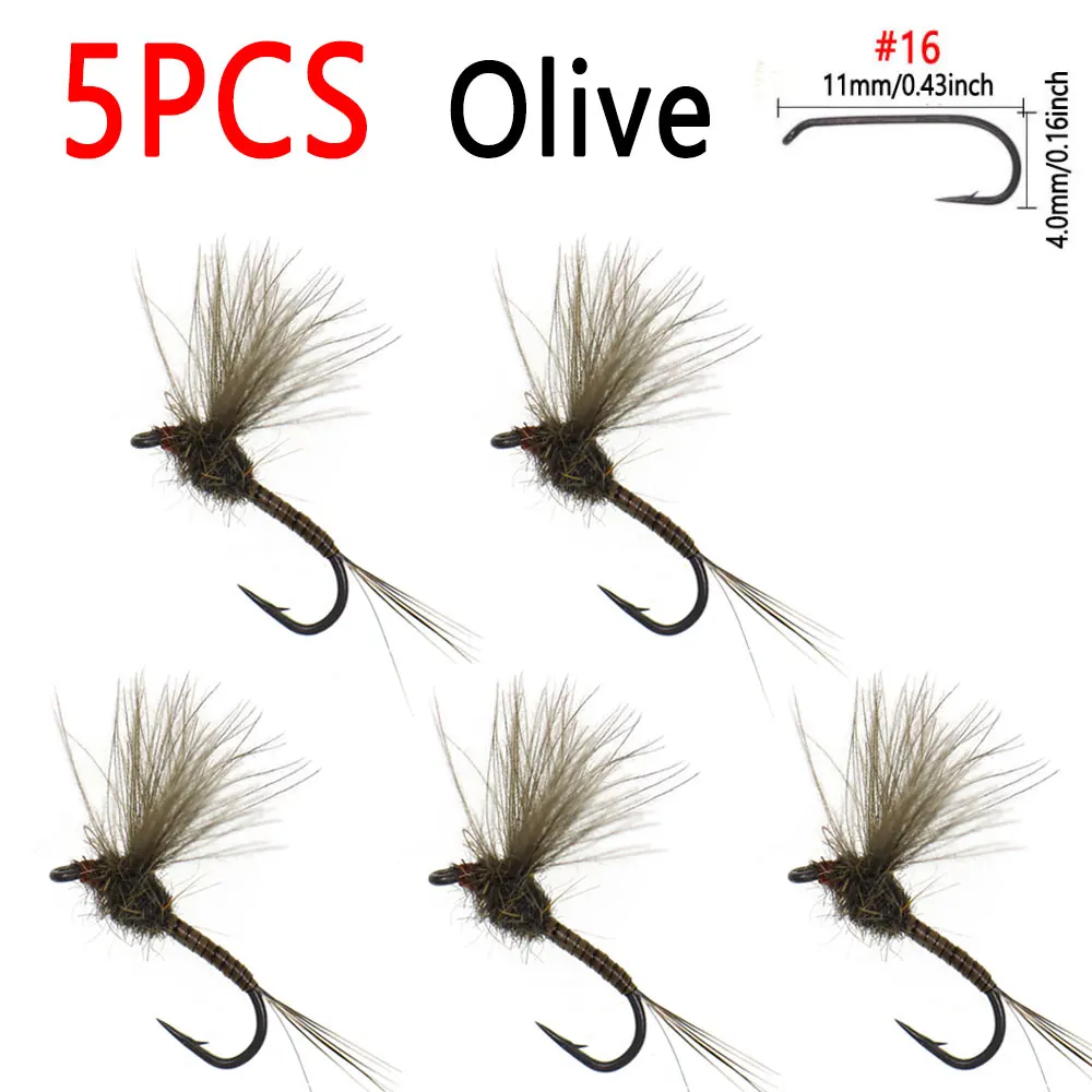 5pcs Olive