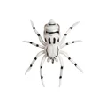 Spider-3G-02
