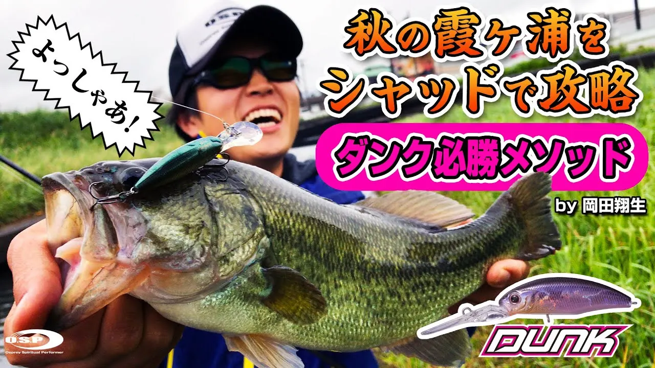 JAPÓN OSP POWER DUNK Escavenger de aguas profundas Alta presión Hover SHAD Minorua Bass Pez mandarín - imagen 4