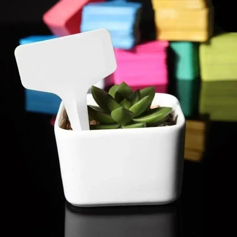 Etiquetas plantas forma T – Plástico impermeable para suculentas - imagen 5