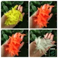 0114-set-80pcs