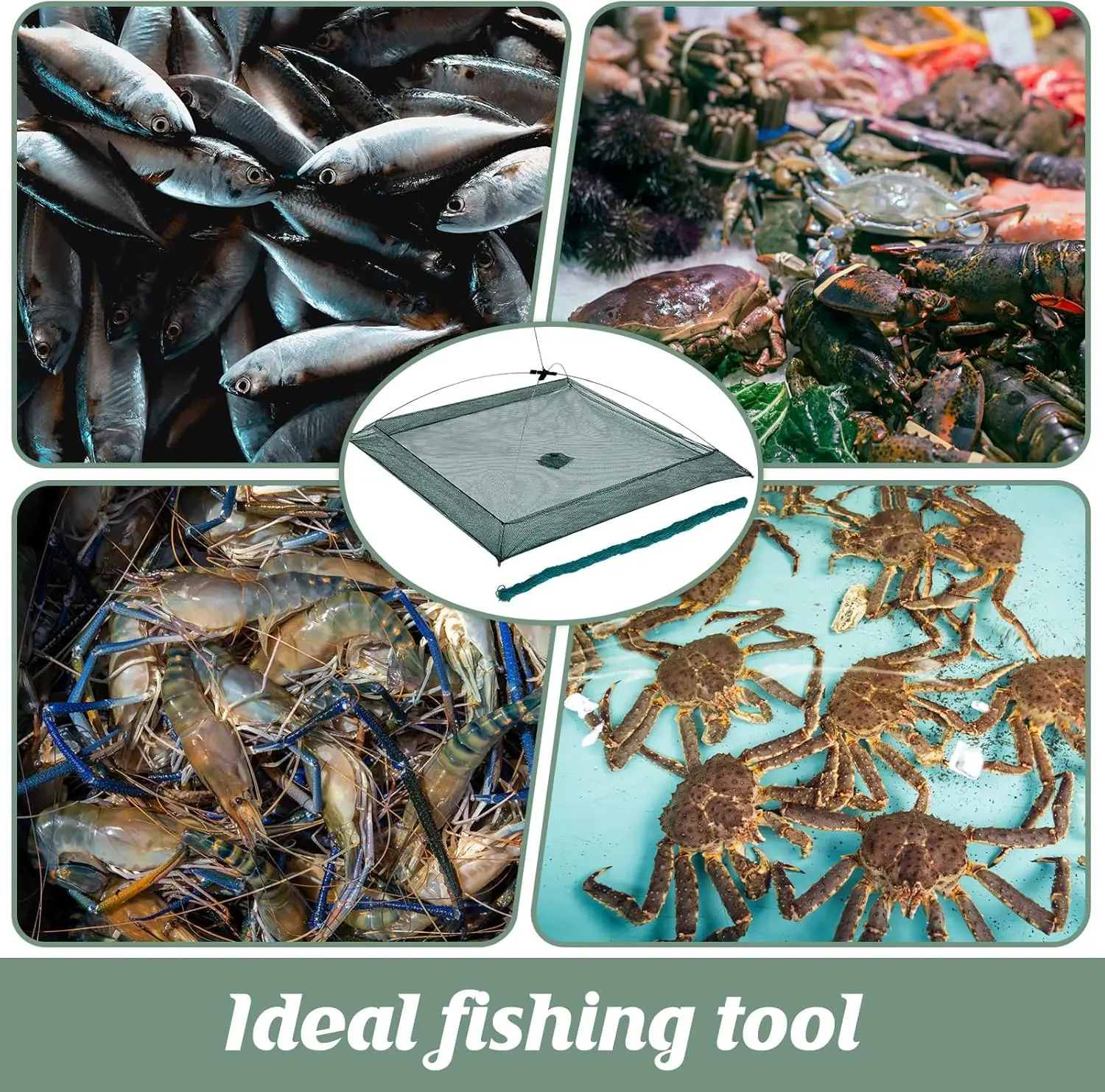 Red de pesca plegable de 60CM, cebos para peces, camarones, pececillos, cangrejo, trampa de malla fundida, red de elevación de inmersión, red de nailon para pescar, captura de cangrejo - imagen 5