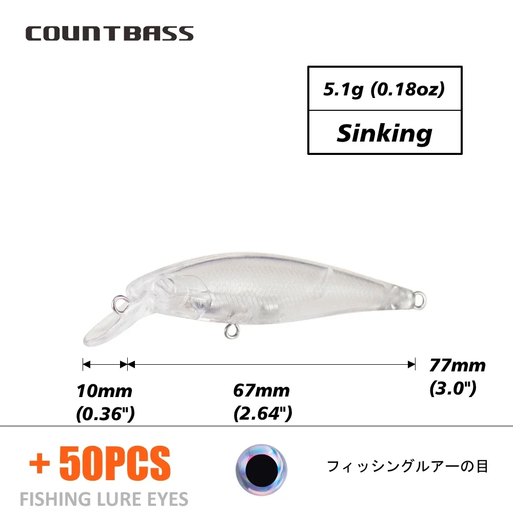 Blank Lure With Eyes