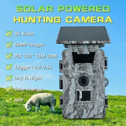 PR903DW Cámara caza WiFi panel solar – Visión nocturna 4K 60MP
