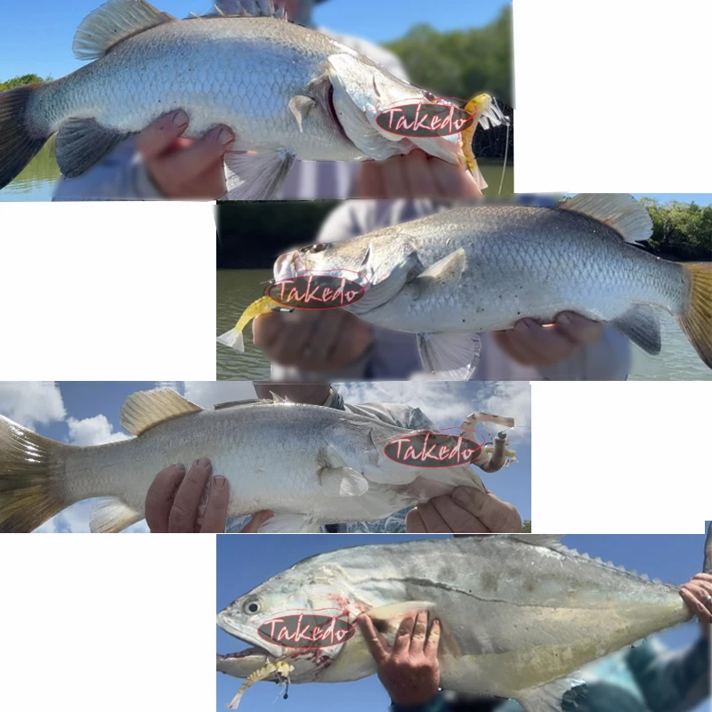 TAKEDO 3 unids/set OEM TPR señuelo tipo Gamba 120MM 90MM cebo de pesca señuelo de gambas sucias TPE cebo vivo suave con anzuelo de pesca con manivela 5/0 VMC - imagen 2