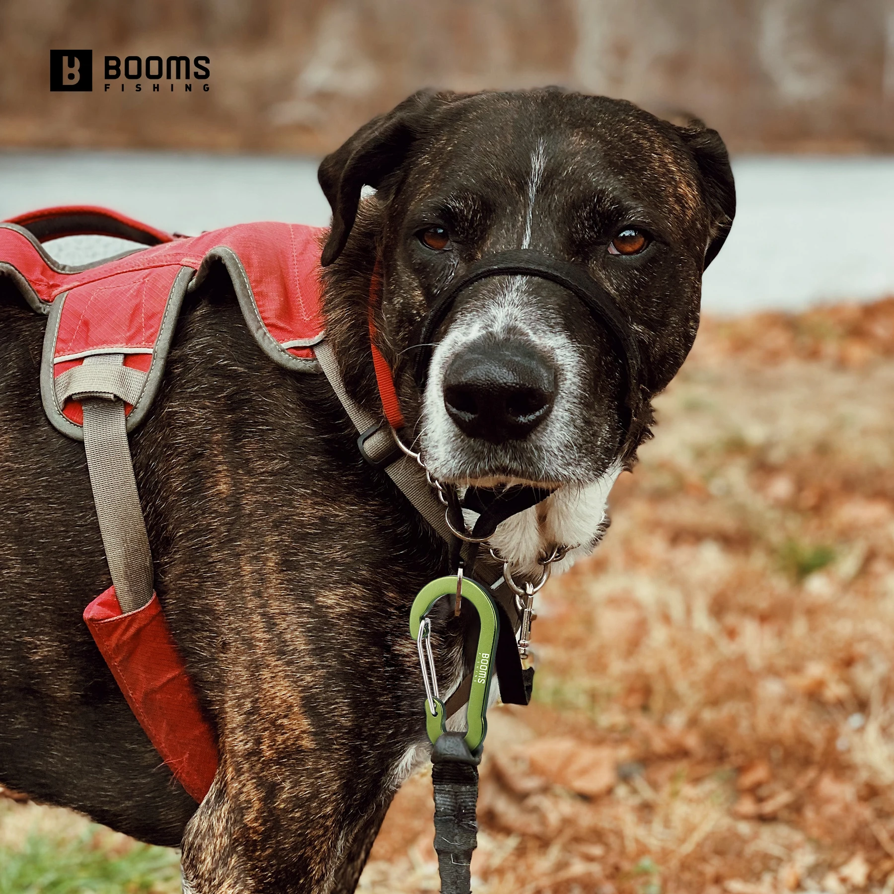 Booms Fishing-Clips de mosquetón de resorte multiusos, 6cm, 10 Uds., pequeños Clips de caribeener, llavero, Clip de caribeen de pesca de aluminio - imagen 3