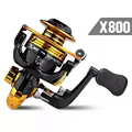 X 800