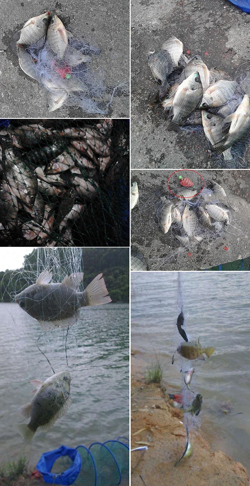 Disfrute de un día de pesca con amigos junto al agua