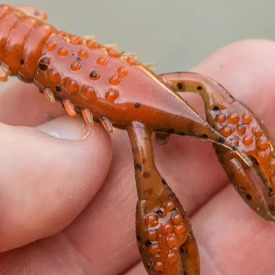 ZMAN Soft Bait 2,5 pulgadas TRD CRAWZ señuelo Camarón Bug importado de los Estados Unidos, Nedluya Fake - imagen 3
