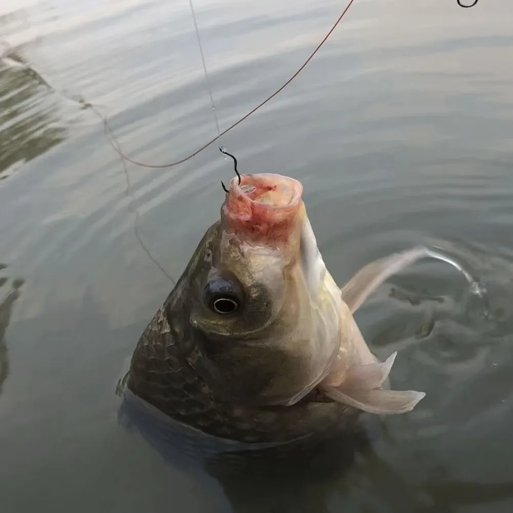 50 Uds. Anzuelo de pesca de acero al carbono con tapa automática duradera con ojo antideslizante, accesorios de aparejos de pesca con púas afiladas - imagen 5