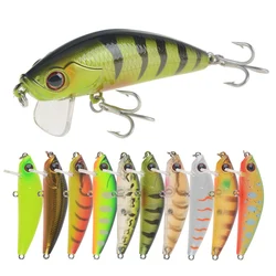 Crankbait flotante con ojos 3D – Señuelo para carpa y lucio