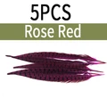 5pcs rose red